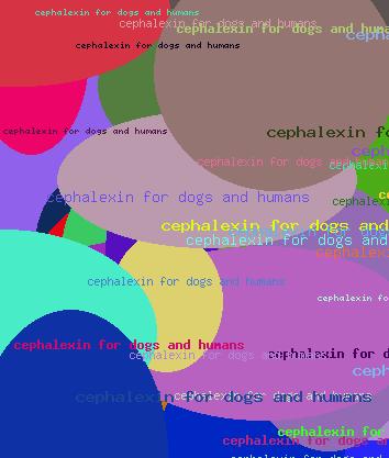cephalexin for dogs and humans